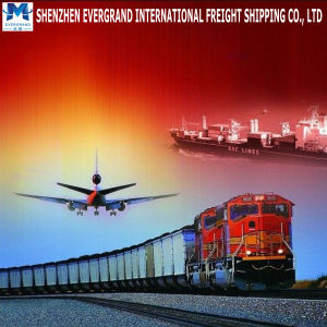 Professional China Cis Railway Country Shipping