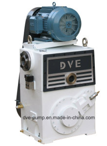 Dual Stage Vacuum Coating Plunger Pump